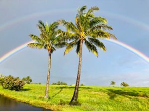 Double rainbow with palm trees taken by Veronica Slaughter in Hawaii